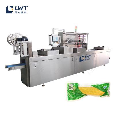 China Línea de producción automática de bolsas de frijoles Máquina de embalaje al vacío de termoformación de maíz en venta
