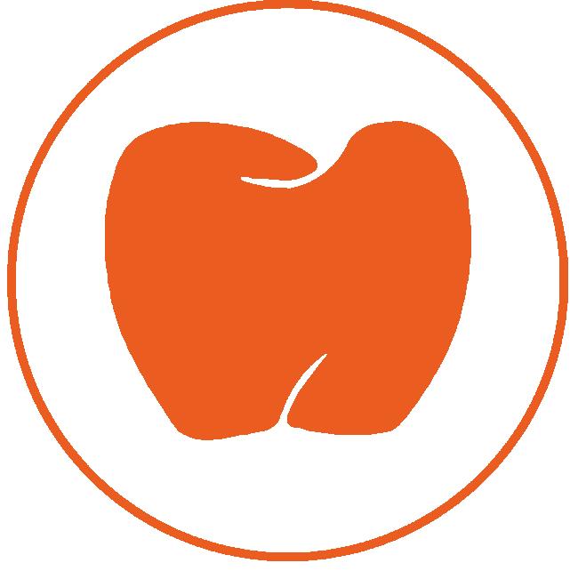 Fall Contour Posterior Crown