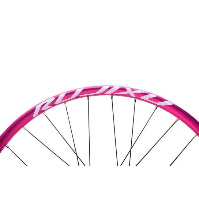Wheelset mounted on mountain bike demonstration