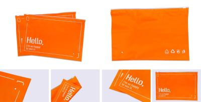 China CPE Custom Plastic Zip Bags Tearproof Environmentally Friendly Materials for sale