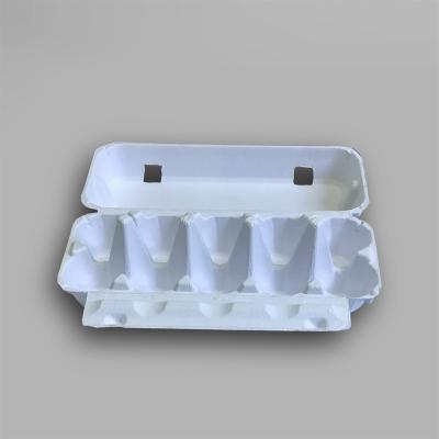 China Customized Molded Pulp Packaging Recyclable Food Packing Box Biodegradable for sale