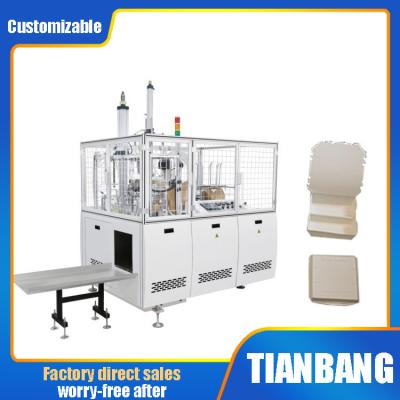 China Multi Grid Paper Lunch Box Forming Machine FBJ-D Disposable for sale