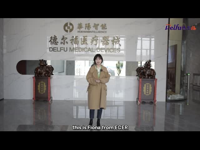 delfu company introduction