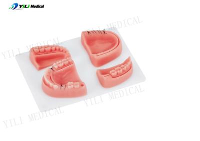 中国 歯科教育のための現実的な口腔触覚傷縫合練習パッド 販売のため