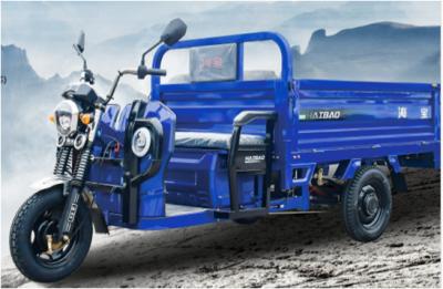 China Three Wheeled Electric Freight Vehicle Heavy Load Capacity 1000kgs for sale
