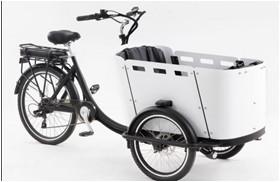 China 250W Kid / Cargo Electric Delivery Tricycle With Canopy for sale