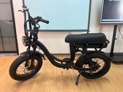 China EB8 Extended Leather Saddle Fat Tire Electric Bike With 20