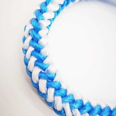 Chine Machine en plastique de fabrication de corde de HDPE pour 3 brins tordus pêchant des cordes à vendre