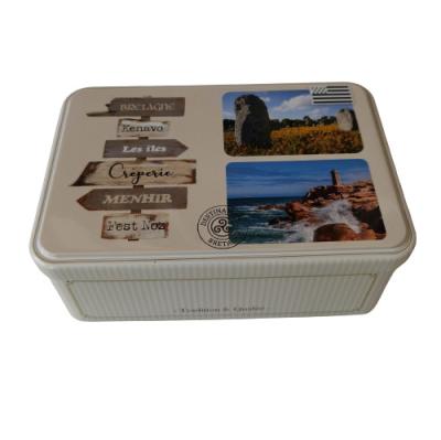 China Categoría alimenticia decorativa de Tin Can Box Medium Rectangular de la galleta del vintage en venta