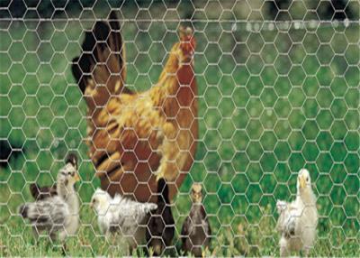 China High Strength Welded Hexagonal Wire Netting , PVC Coated Green Chicken Wire Mesh for sale