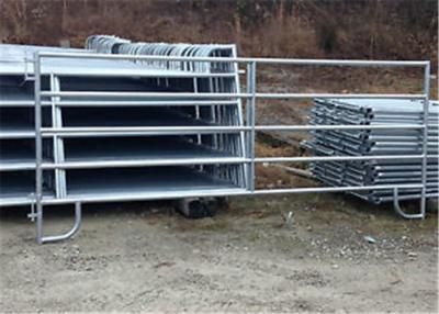 China Efficient Handling Corral Fence Panels 8-16ft Width Square Frame For Cattle Yard for sale