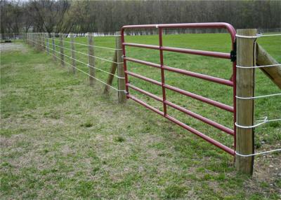 China Hot Dipped Galvanized Welded Pipe Corral Fence Panels 10ft Or 12ft Length for sale