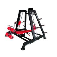 Quality 2 In 1 Chest Exercise Machines Indoor Gym Fitness Equipment OEM Service for sale