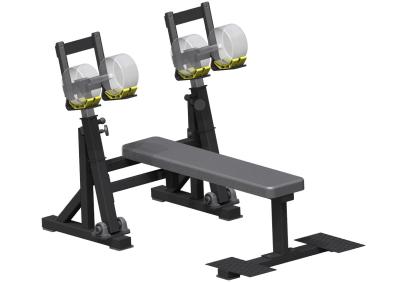 China Commercial Chest Press Machine , Flat Dumbbell Press Machine for sale