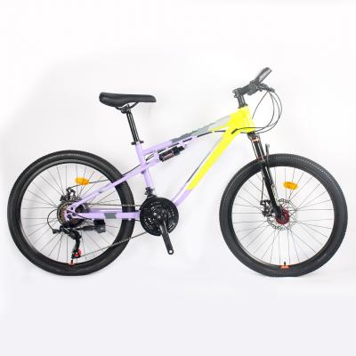 China Wholesale 21 Speed Customized Cheap Adult Mountain Bike 24/27.5 Inch Bicycle en venta