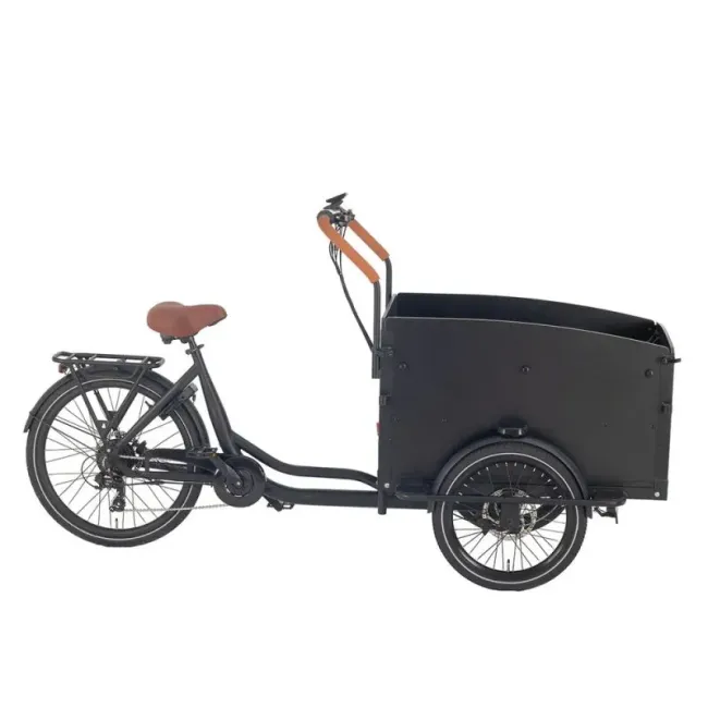 E Cargo Bike for Carrying Kids 20/26 Inch Electric Cargo Bicycle with Large-Capacity