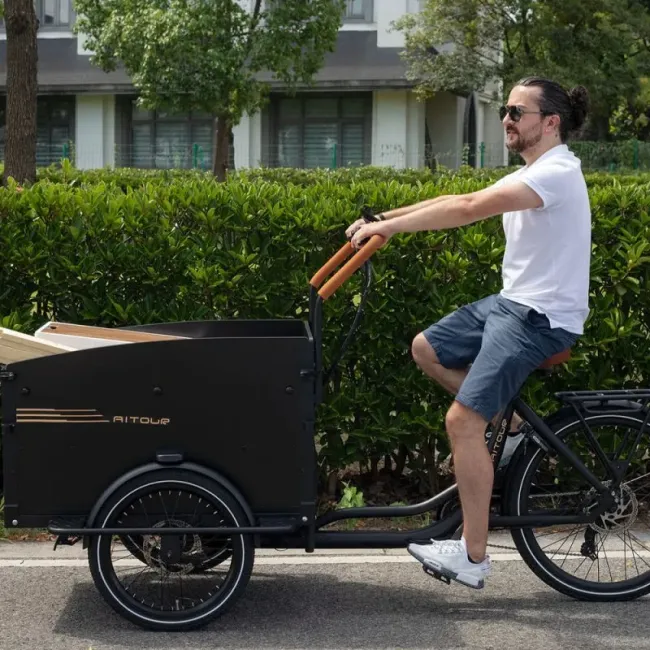 3 Wheel Cargo Bike with Heavy-Duty Box for Carrying Kids and Packages