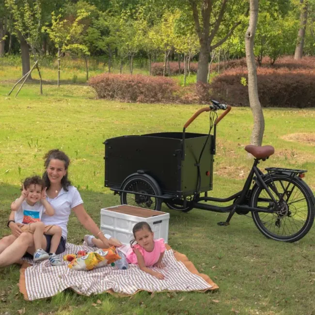 Durable Electric Cargo Bike with Box for Food and Package Delivery