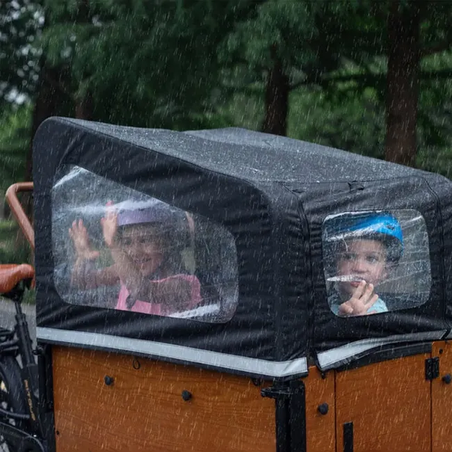 Family-Friendly Electric Cargo Bicycle with Child Safety Seats