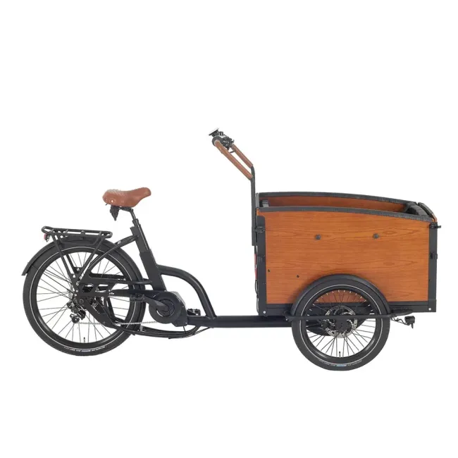 Customisable Cargo E Bike with All-Weather Protection and Safety Features