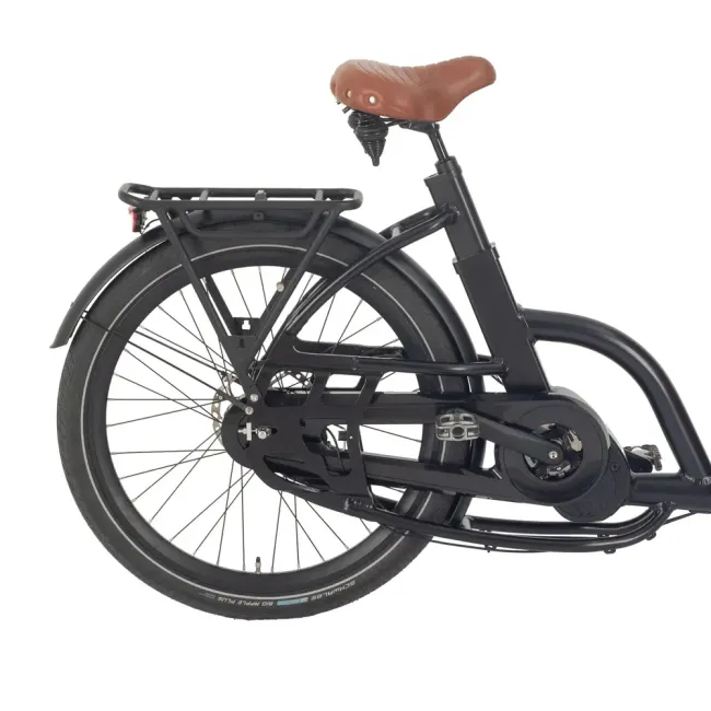 Safe and Stylish Bakfiets for Effortless Family Transportation