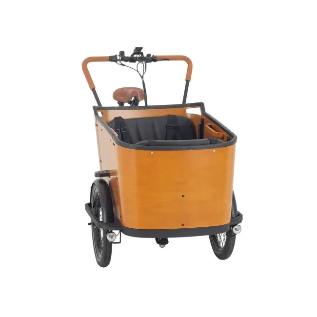 Ergonomic Family Cargo Bike with Comfortable Child Seating