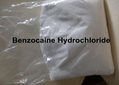 China HCL Anodyne Local Anaesthetic Drugs Benzocaine Hydrochloride 23239-88-5 for sale