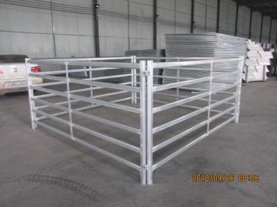 China 2023 Hot Selling USA 12 ft Heavy duty Livestock Cattle Corral Fence and Horse Round Pen Panels for sale