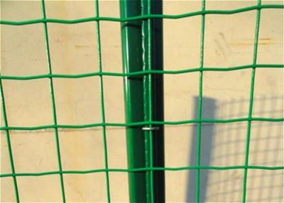 China 50*50mm Dutch Mesh Welded Wire Fence Panels for sale
