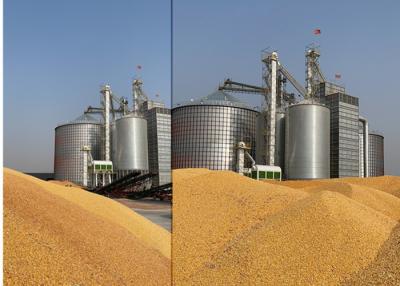 China 500-3000kg Corn Drying Line Capacity 1000-3000kg/H en venta