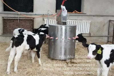 China Máquina de alimentação de alimentação da vitela do equipamento da vitela da segurança fácil de limpar à venda