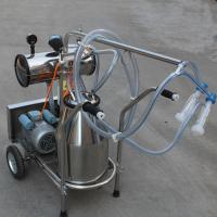 China Single Bucket Portable Vacuum Pump Milking Machine With 250 l / Min Vacuum Pump Capacity for sale