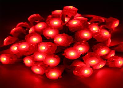 Chine Le pixel imperméable de rouge de 0.25W 20mm a mené la lumière de volt LED de l'éclairage 12 à vendre