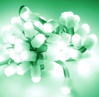 China Led Smd Light String 12v 9mm Waterproof Green Pixel Light Led Advertising Light for sale
