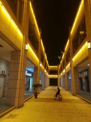 Chine La façade extérieure optique menée linéaire de bâtiment de lumière de tube du guide IP67 a mené la lumière linéaire pour l'éclairage de paysage à vendre