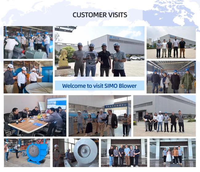 800mm Impeller Diameter Ventilation Industrial Centrifugal Forced Draft Air Blower Fan for Industrial Boiler