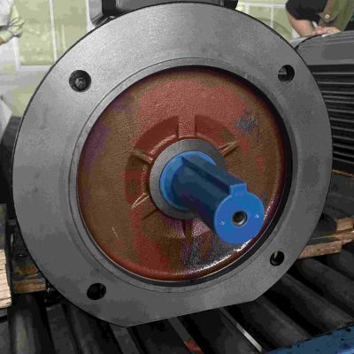 China Three Phase High Voltage Induction Electric Motor Low Vibration for sale