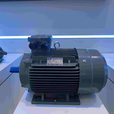 China Prenda impermeable media y de alto voltaje de los motores de inducción 6KV en venta