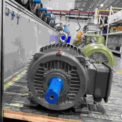 China Cast Iron Three Phase Induction variable Electric Motor CE for sale
