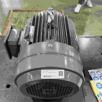 China Anti Corrosion Electric Motor IE4 Low Voltage  Aluminum Cast Iron for sale