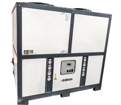 China Máquina de refrigeração de água refrigerada a ar JLSF-60HP para congelamento de alimentos à venda