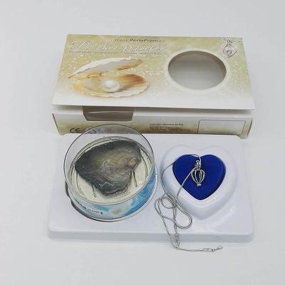 China Festive Birthday Gift Love Wish Pearl Kit Heart Cage Pendant with 17 