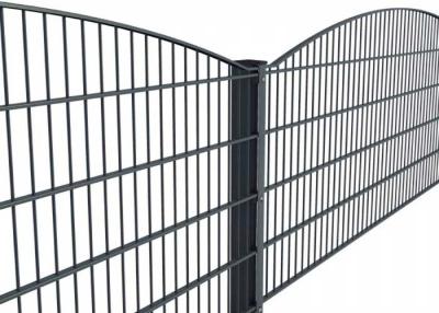 China Powder Coated Mesh Fencing L3000mm Double Wire Welded Fence 55X200 for sale
