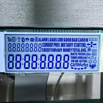 China OEM Monochrome Segment LCD Display 240x160 FSTN Positive Custom Character LCD Module for sale