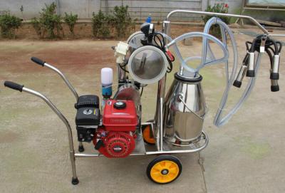 China 6mins Single Cow Milker , ISO Gasoline Engine Small Milking Machine For Cows for sale