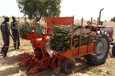 China Flat 0.5ha/H Cassava Planter Machine 100hp Two Row Seed Planter for sale