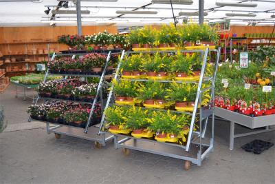 China display 500KG Plant Trolley On Wheels , ISO Flower Rack Outdoor for sale