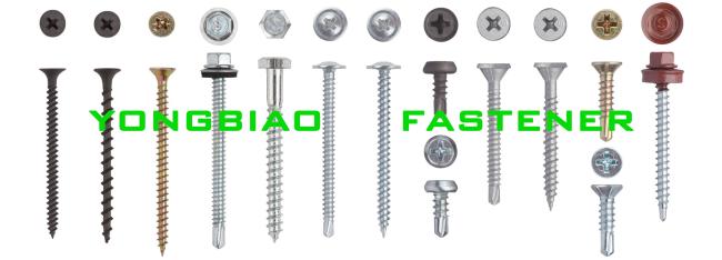 Final packaged self-tapping screws ready for shipment