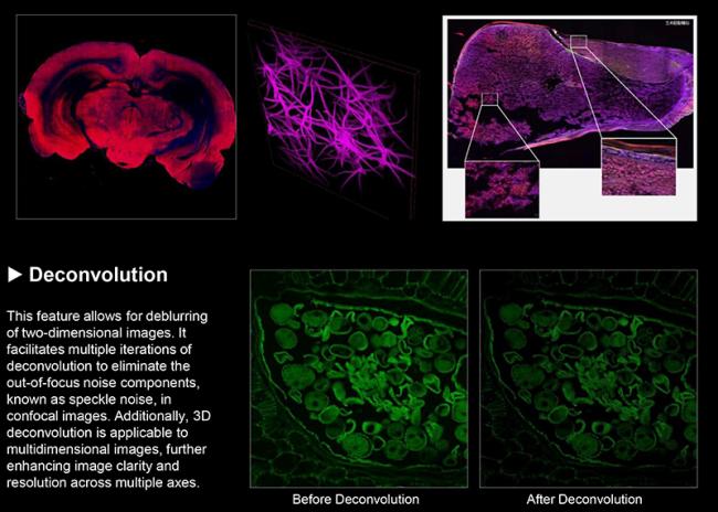 Multi Dimensional Imaging Display