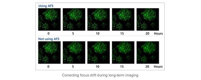 Adaptive Focus System